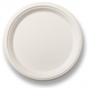 Bagasse Round Plate 10inch x500