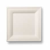 Bagasse Square Plate 8inch x500