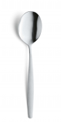 Amsterdam Serving Spoon