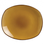 Terramesa Mustard Spice Plate 25.5cm (10inch)