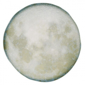 Selene Presentation Plate 31 cm