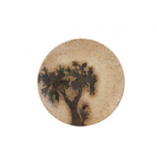 Eden Coupe Plate 17cm/6.5inch
