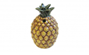 Pineapple Tiki 20.25oz/60cl