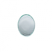 Scape Glass Clear Oval Bowl 20cm (7 7/8inch)