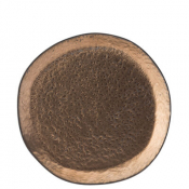 Midas Plate 10.25inch (26cm)