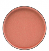 Coral Walled Plate 10.25inch (26cm)