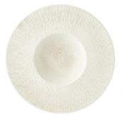 Tense Wide Rim Gourment Plate 25cm/9.8inch