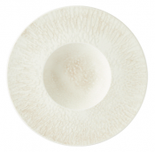 Tense Wide Rim Gourment Plate 29cm/10.5inch