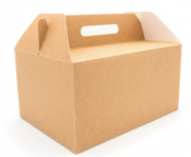 Carry Pack Kraft Extra Large 295x210x150mm x60