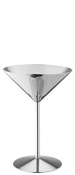 Stainless Steel Martini 8.5oz (24cl)