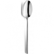 Colorado Serving Spoon