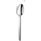 Colorado Coffee Spoon