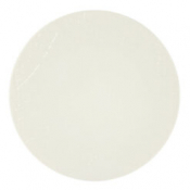 Organic Flat Plate 31cm/12.25inch