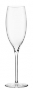 Terroir Champagne Flute 10.5oz (30cl)