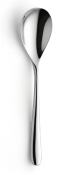 Newton Teaspoon