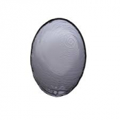 Scape Glass Smoked Oval Bowl 30cm (11 3/4inch)