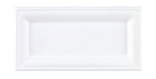 Bagasse Rectangular Plate 10x5inch x500