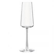 Power Champagne Flute 238ml/8.5oz