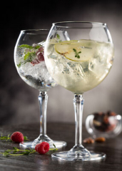Gin Glasses