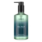 Sea Kelp