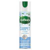Carpet Cleaners