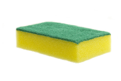 Sponges