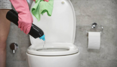 Toilet Cleaners