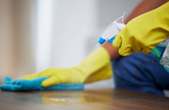 Sanitary Cleaners