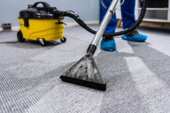 Carpet Shampoo