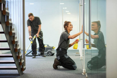 Glass, Mirror & Stainless Steel Cleaners