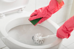 Toilet Brushes