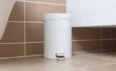 Bathroom Bins