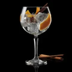 Gin Glasses