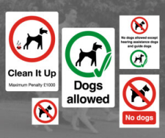 Dogs