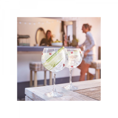 Gin Glasses