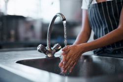 Fragrance Free Hand Soap