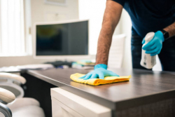 Polish & Furniture Cleaners