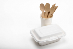 Bagasse Containers