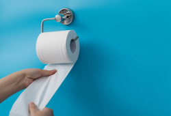 Toilet Roll