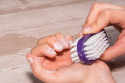 Nail Brushes
