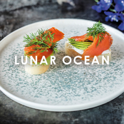 Lunar Ocean