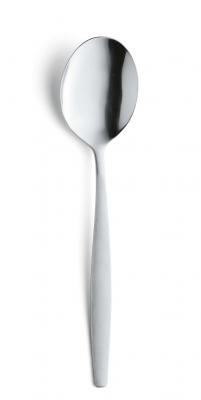 Amsterdam Serving Spoon