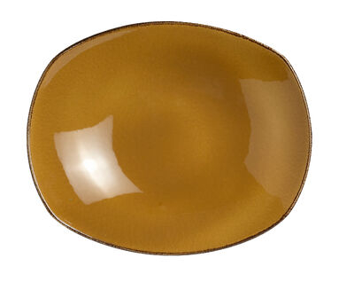 Terramesa Mustard Zest Platter 20.25cm (8")