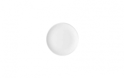 Options Plate 17cm [6.7Inch]