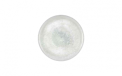 Smart Salt Plate 20.2cm [8"]