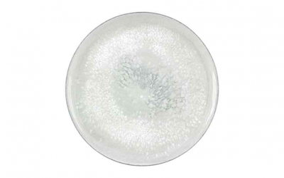 Smart Salt Plate 28.1cm [11.1Inch]