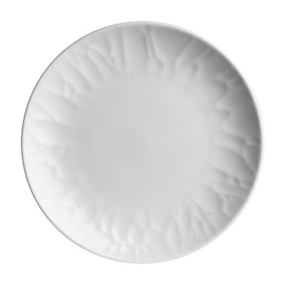 Atelier Coupe Plate 27cm (10 5/8")