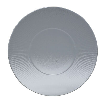 Willow Gourmet Clear Medium Well Plate 27cm (10 5/8Inch)