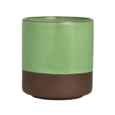 Spice Cardamom Cup 8 x 8.6cm 24cl (3 1/8 x 3 3/8" 8 1/2oz)