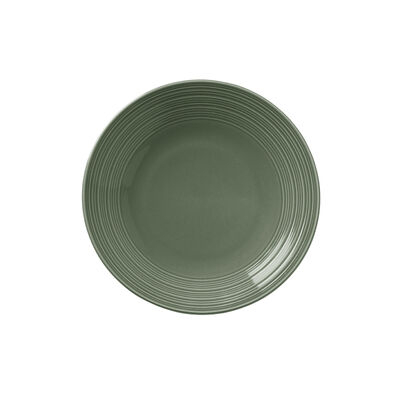 Concorde Fern Coupe Plate 20.25cm (8Inch)